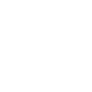 Kinowood Icon