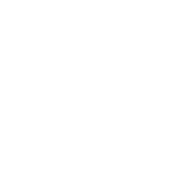 FM Radio Icon