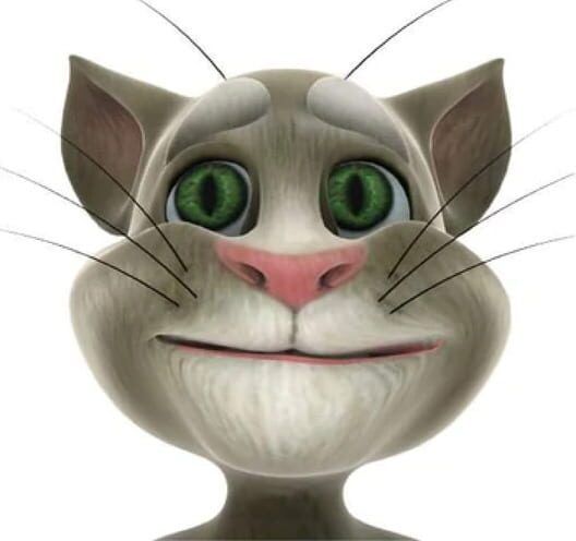 Talking Tom Cat Icon