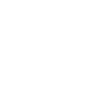 Fit Diary Icon