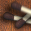 Collapsticks Icon