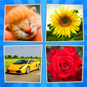 4 Pics 1 World Family Icon
